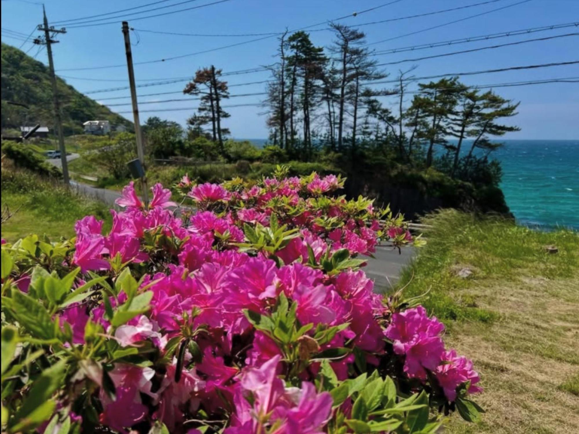 レンタルコテージサントロペ Kyōtango Exterior foto