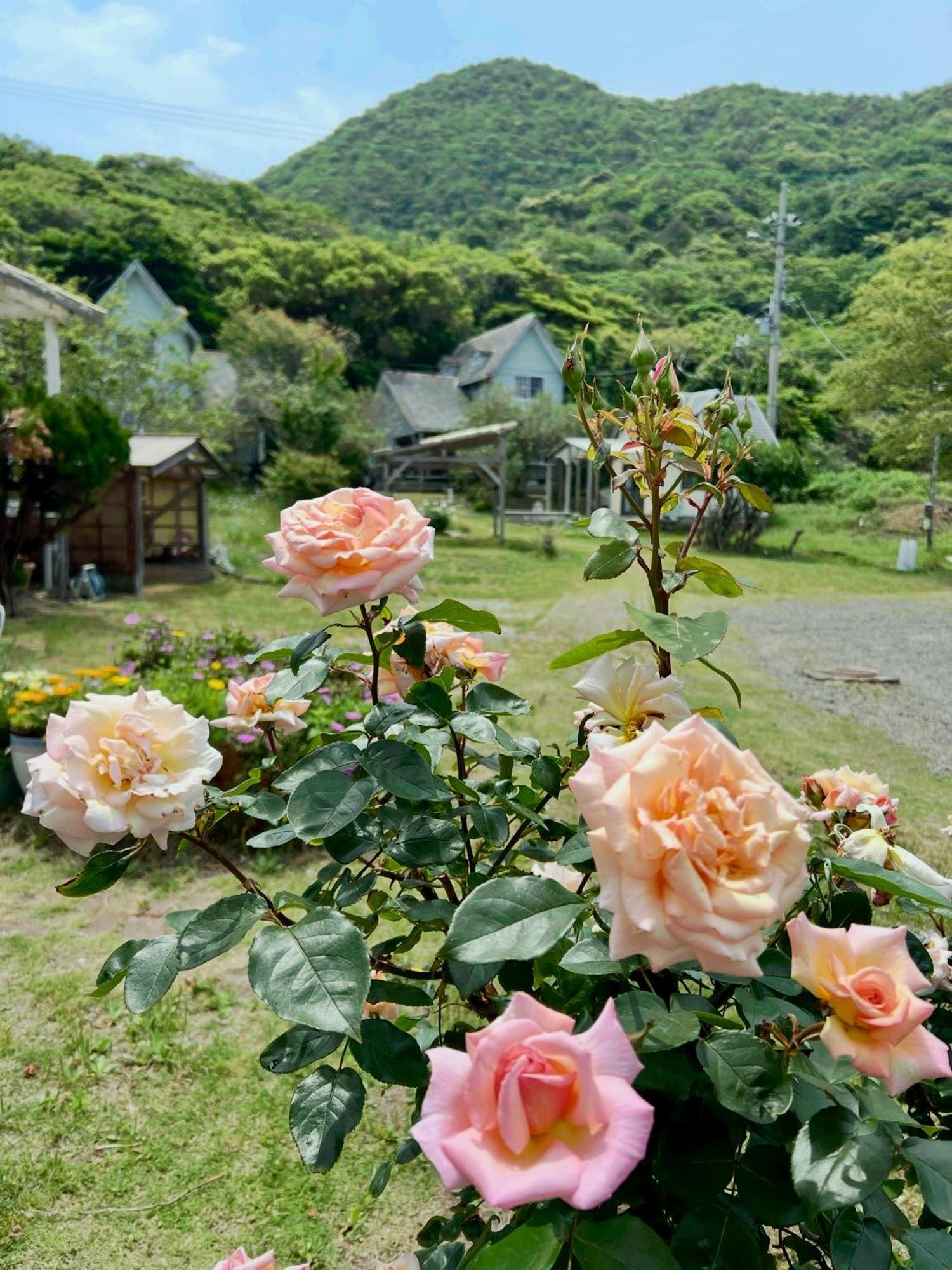レンタルコテージサントロペ Kyōtango Exterior foto